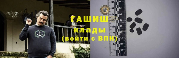 хмурый Абаза