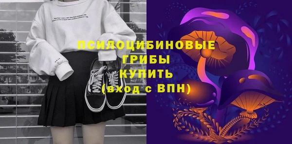 стафф Россошь