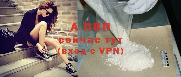 хмурый Абаза