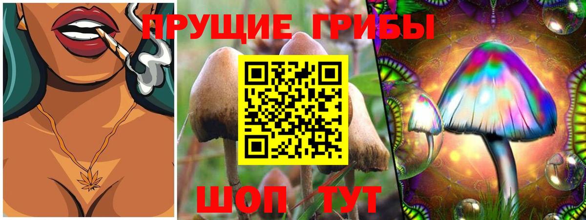 Галлюциногенные грибы Psilocybe  Псилоцибиновые грибы Magic Shrooms  Вход с VPN  Кудымкар 